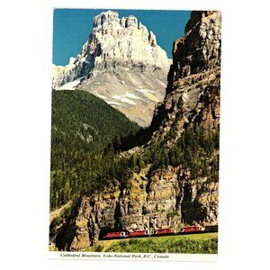 Vintage Canadian Rockies Postcard Cathedral Mountain Yoho National Park Train